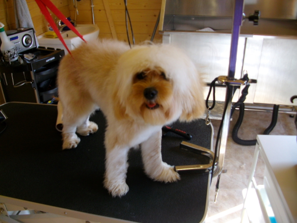 Baxter Before