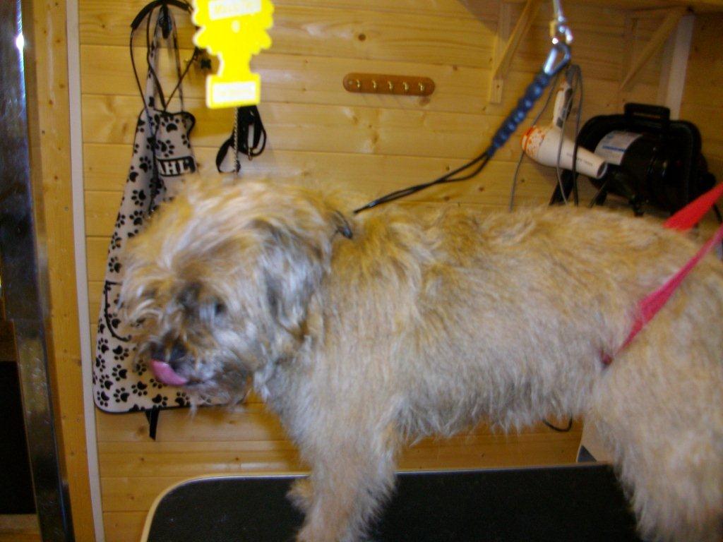 Grooming