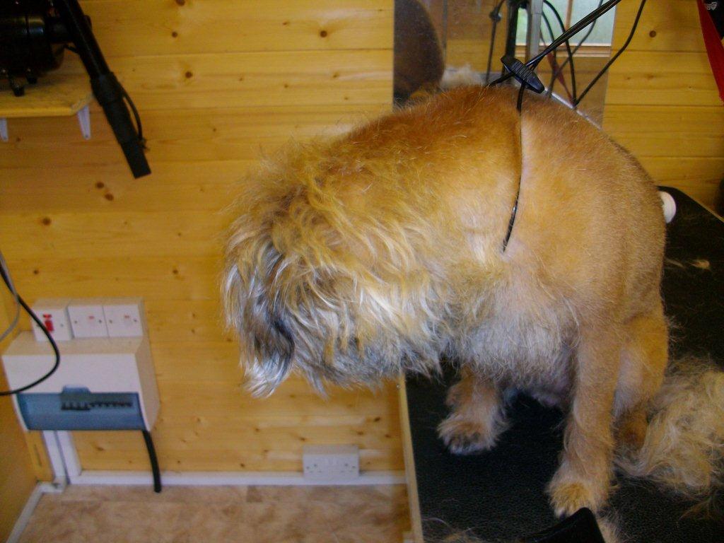 Grooming