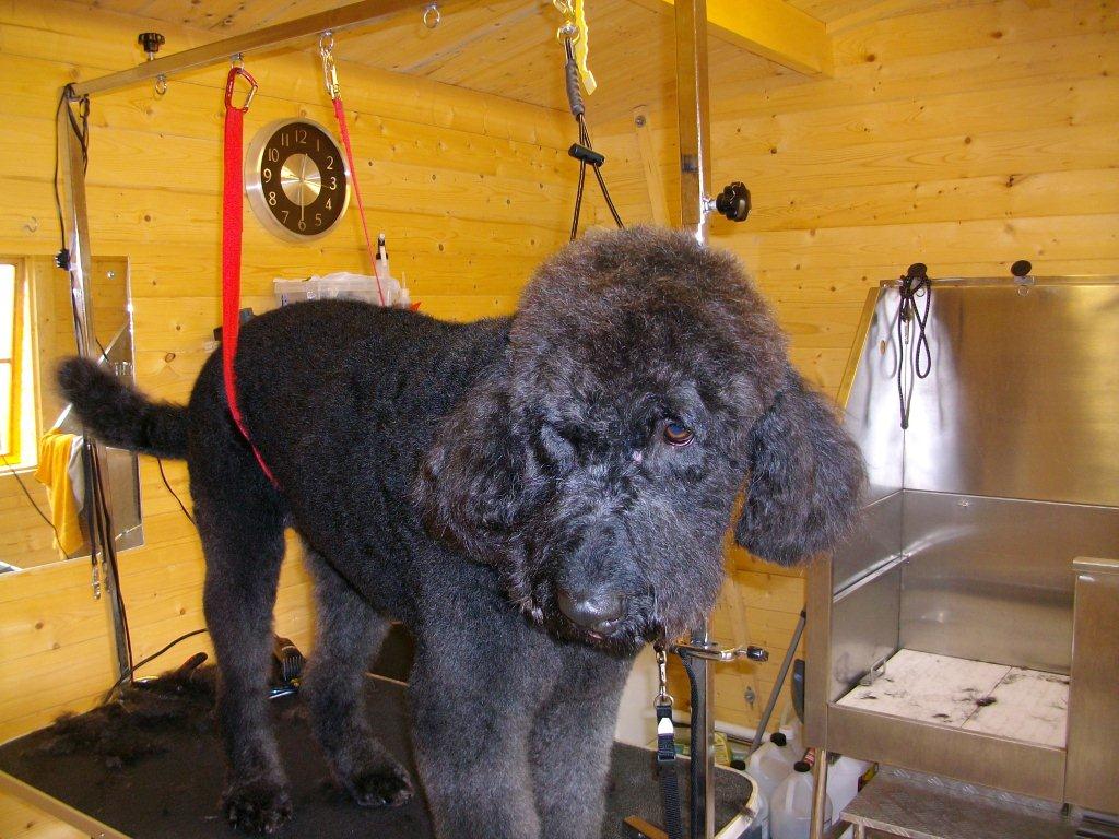 Grooming