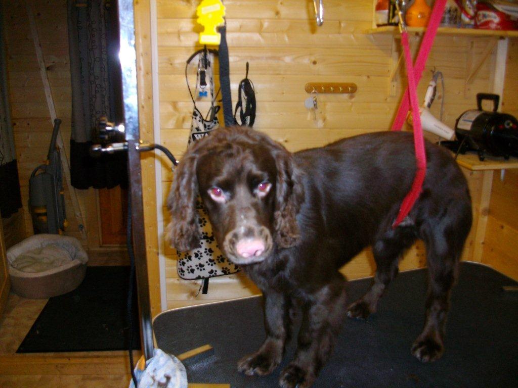 Grooming