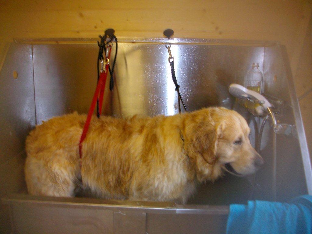Grooming