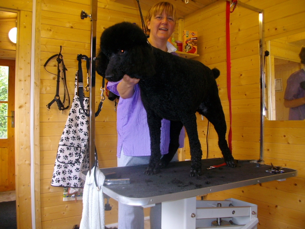 Molly And Me