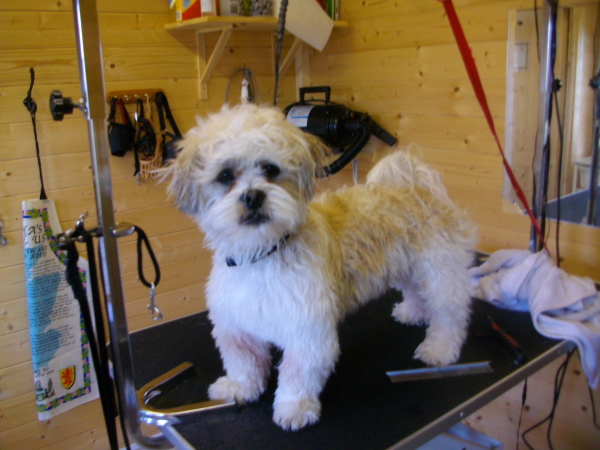 Charlie Before