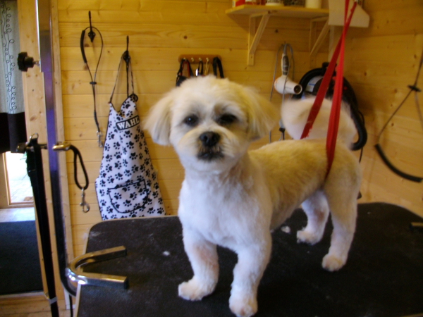 Charlie After